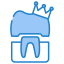 Dental Crowns